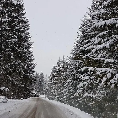 Ciasa Nonna Bon Bon 3* Cortina dʼAmpezzo