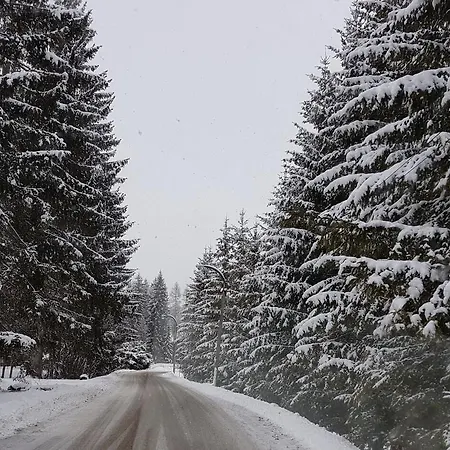 Ciasa Nonna Bon Bon * Cortina d'Ampezzo